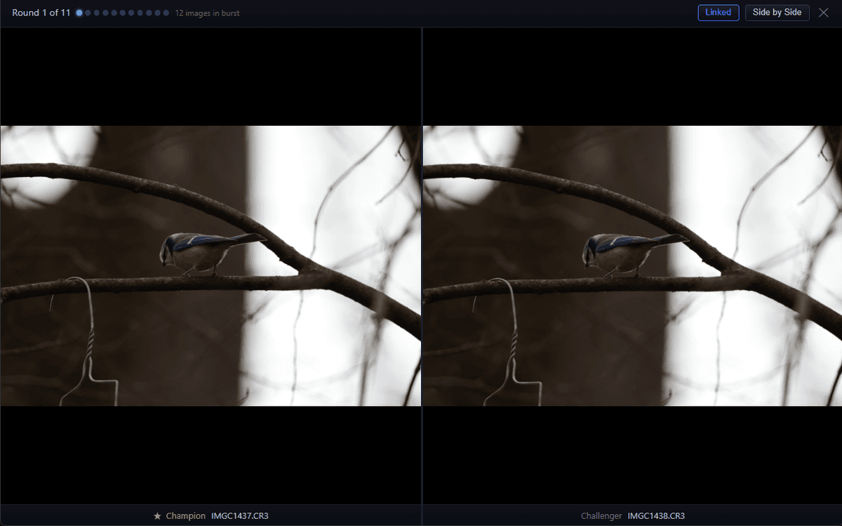 Structured burst comparison