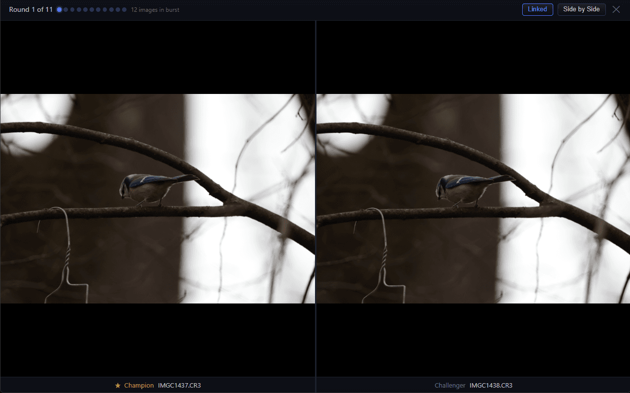 RapidCull burst mode